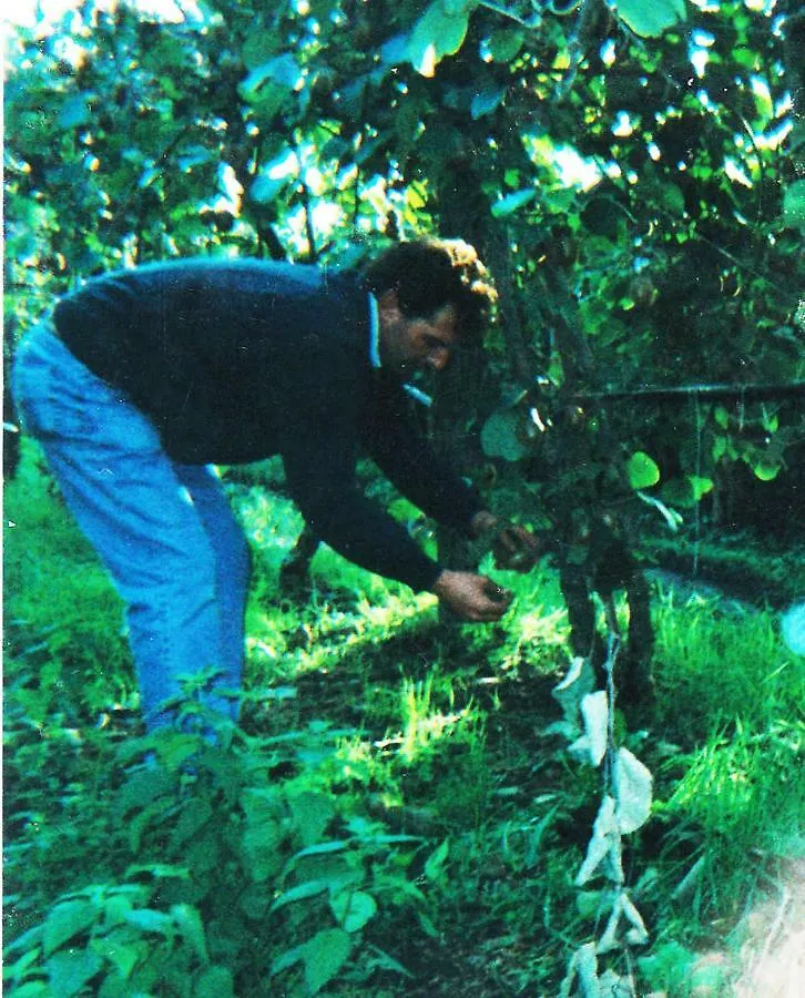 Agriturismo Podere Dei Kiwi Chiesina Uzzanese