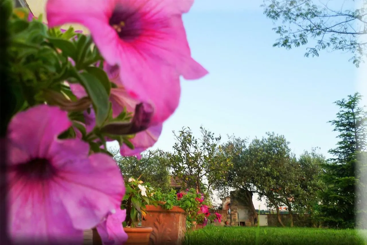 Agriturismo Podere Dei Kiwi Chiesina Uzzanese Farm stay
